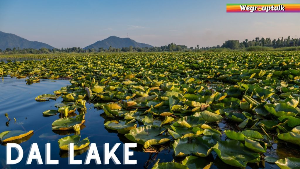 dal lake Kashmir place to visit