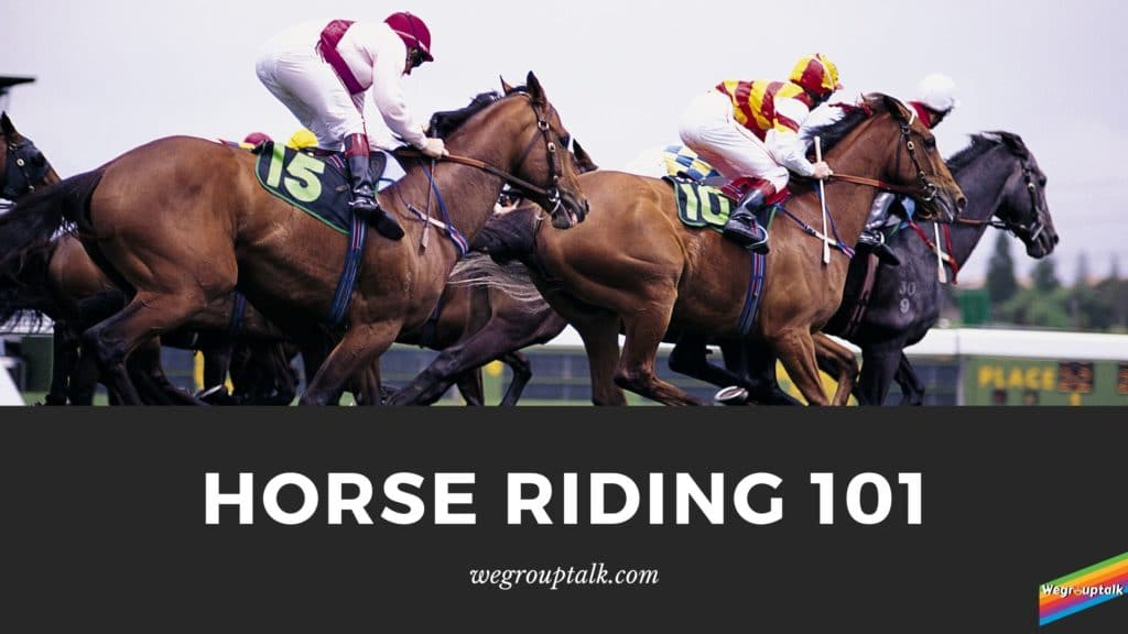 horse riding 101