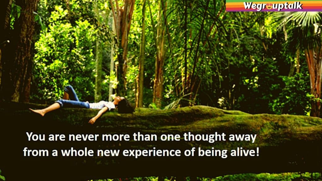 you are never more than one thought away from a whole new experience of being alive
