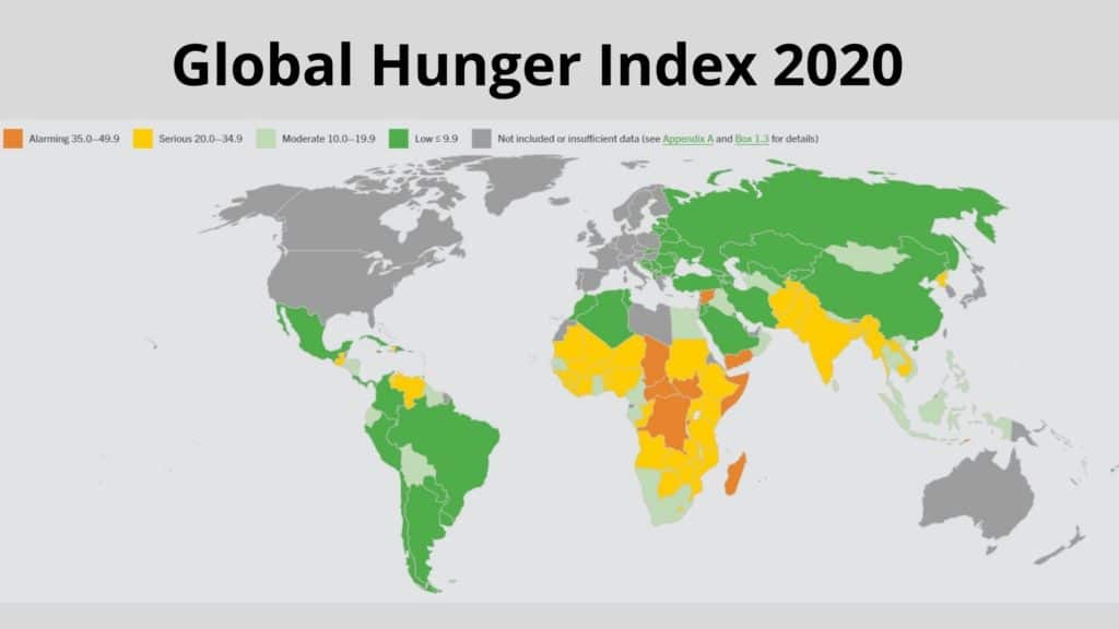 global hunger index 2020