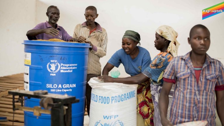 Food Insecurity- How Is The World Food Programme Helping? - WeGroupTalk