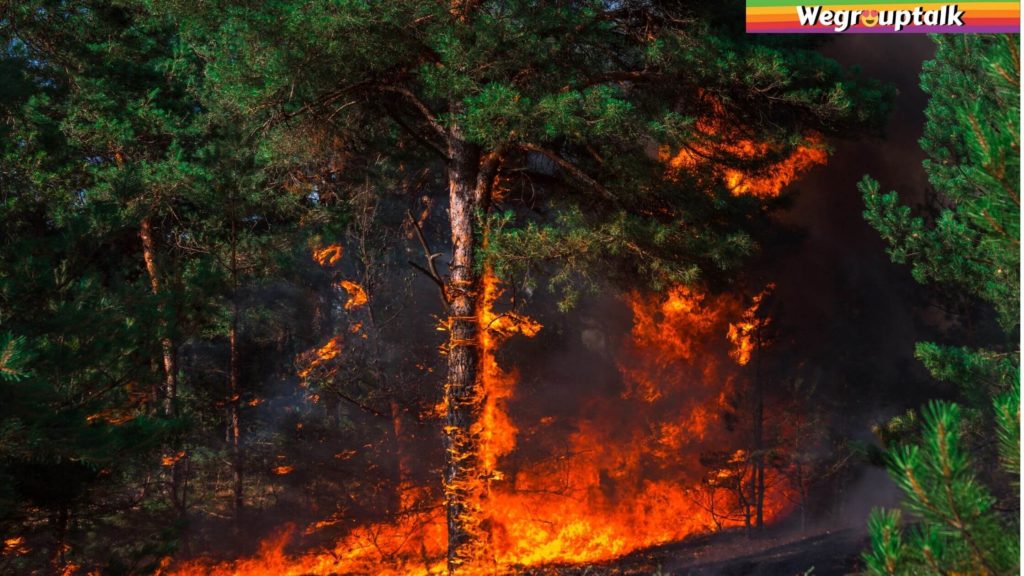 wildfires in artic region