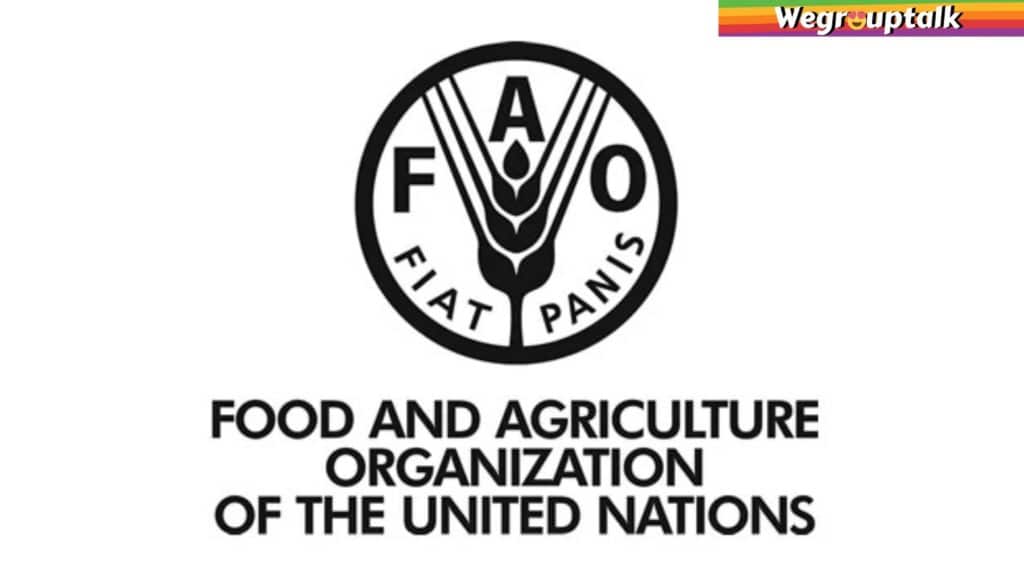 food and agricultural organisation